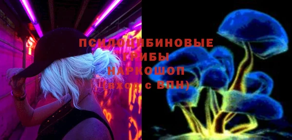 гидропоника Бугульма