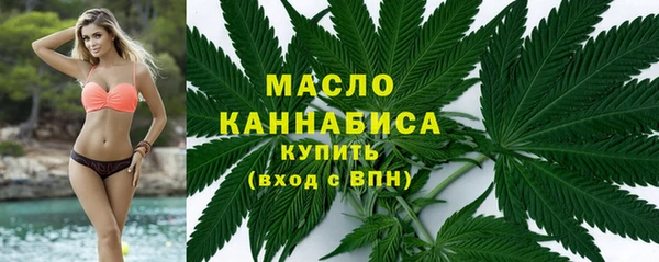 ECSTASY Богородск